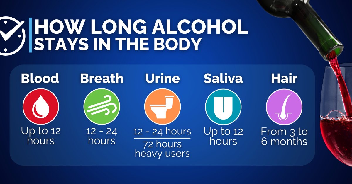 How Long Alcohol Stays in the Body