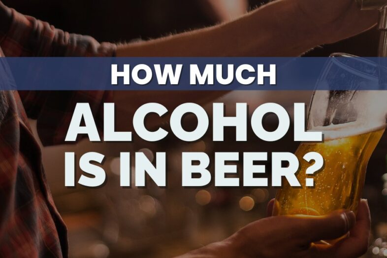 How Much Alcohol Is in Beer